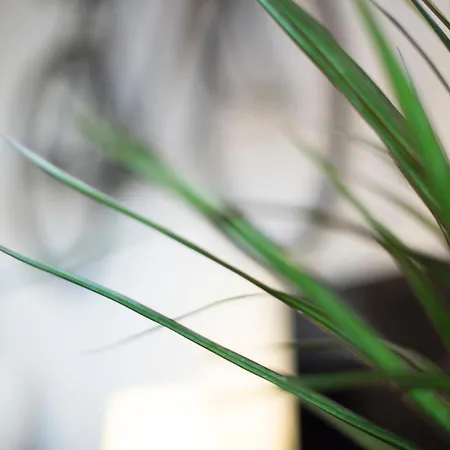 An With A View - No's Place