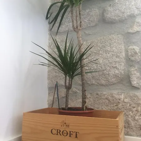 An With A View - No's Place *