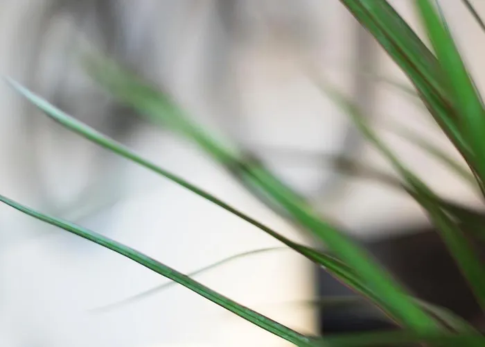 An With A View - No's Place