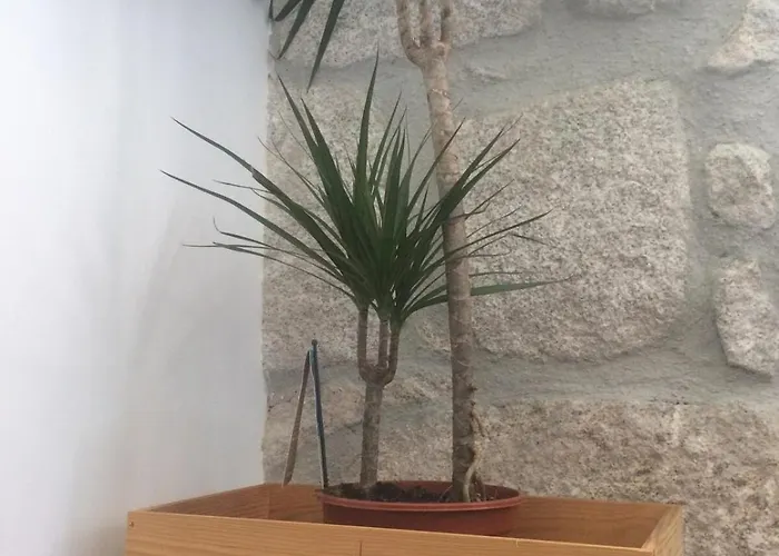 An With A View - No's Place *